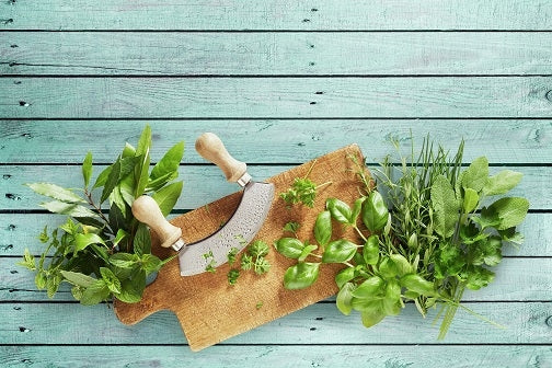 Alles Wissenswerte rund um Gewürz-Kräuter