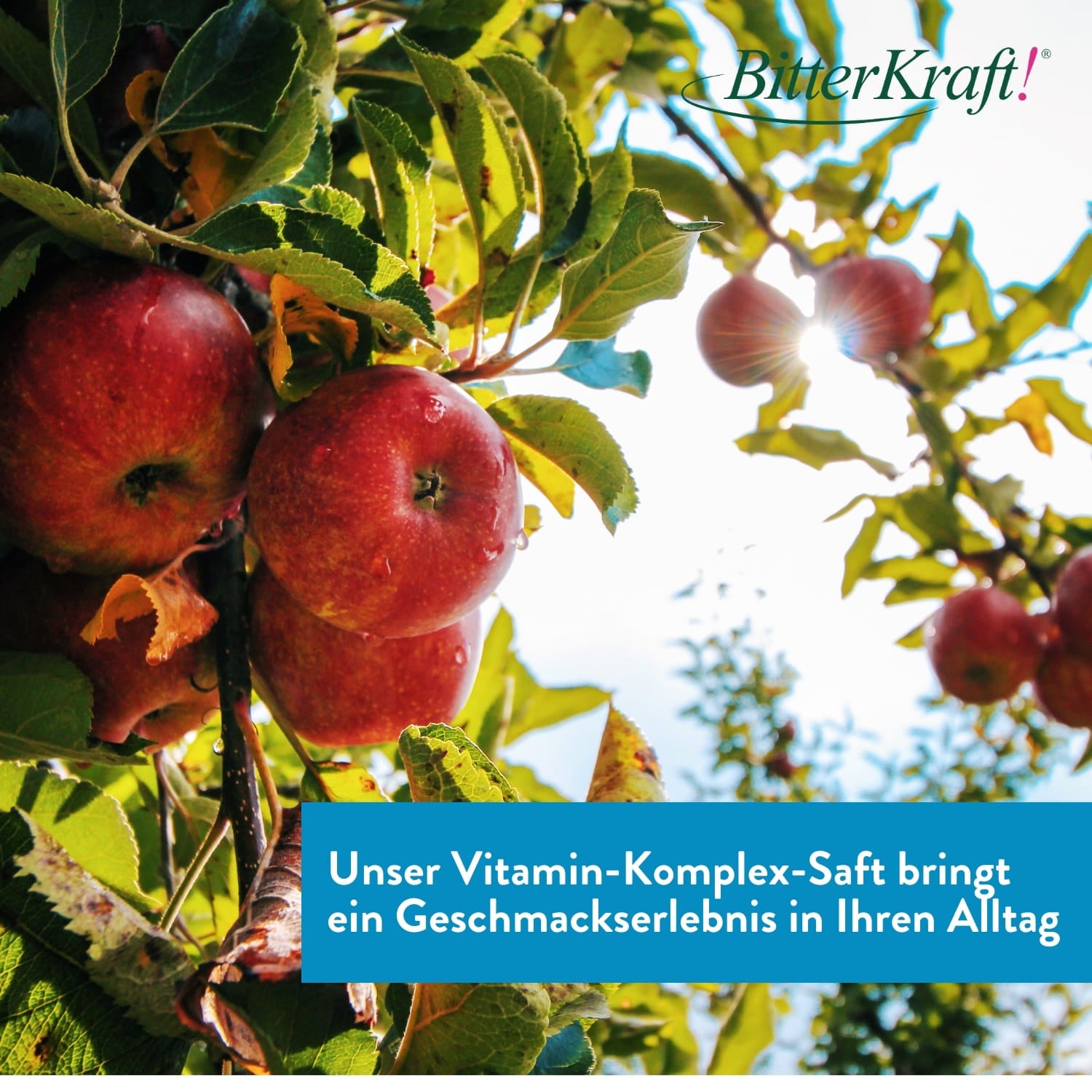 Aronia Vitamin Komplex Saft (BIO) 350ml