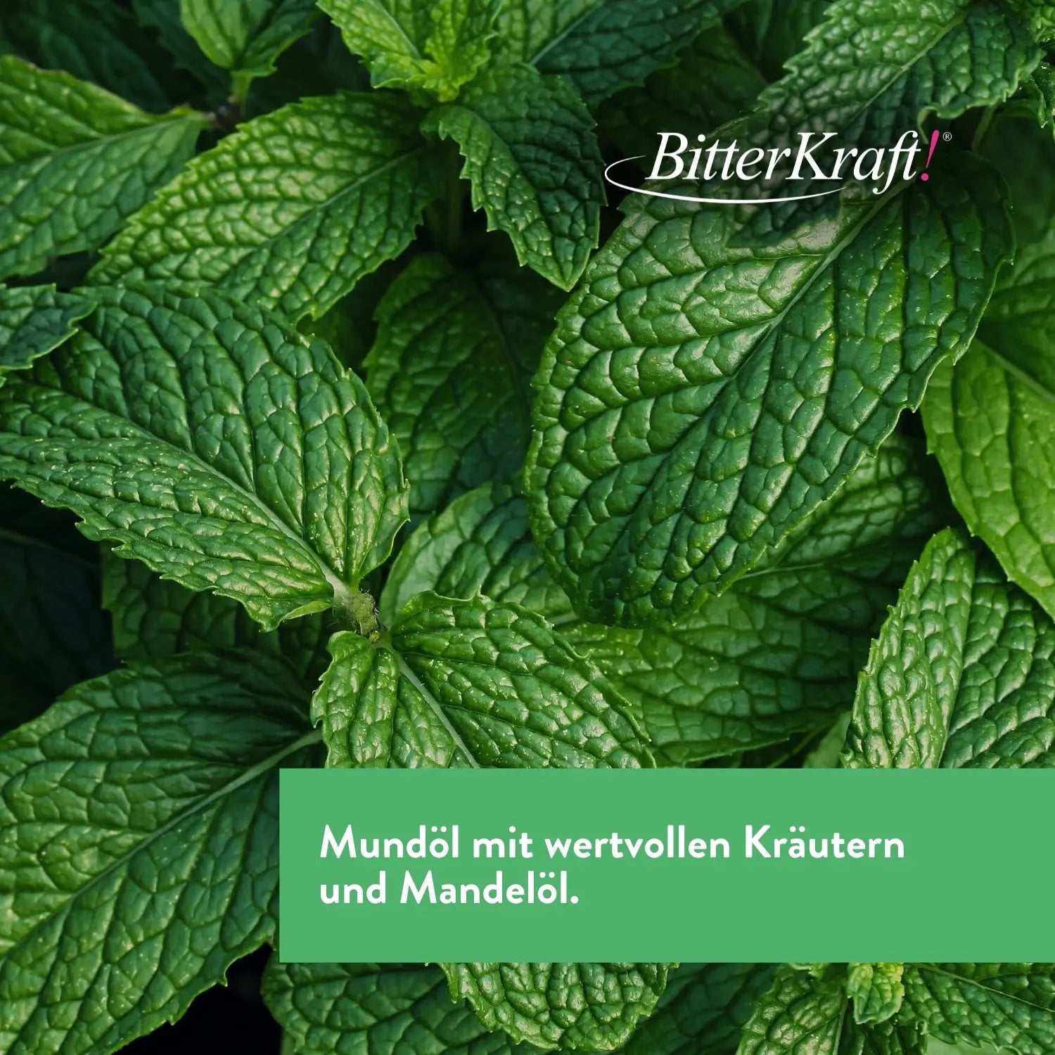 Mundziehöl Kloster-Minze 200ml