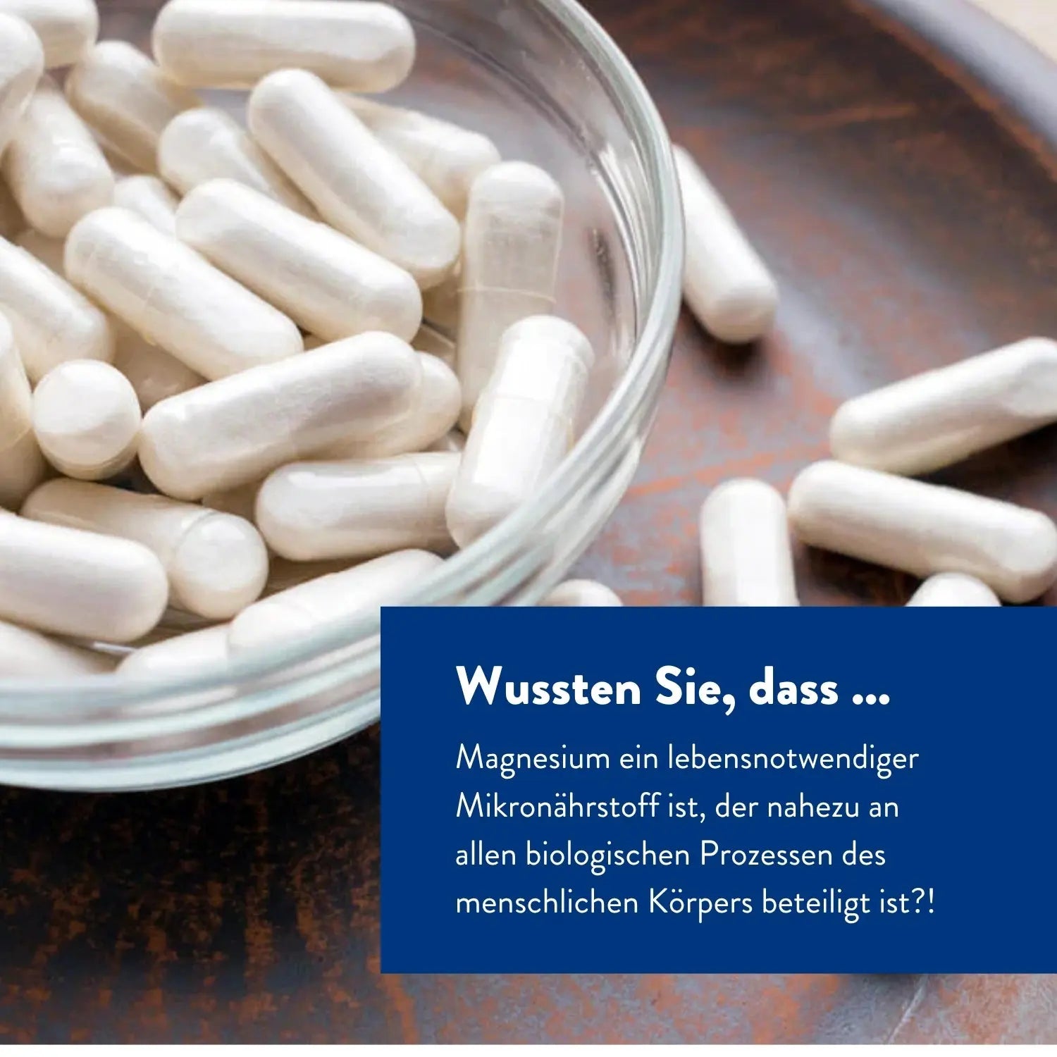 Bitterkraft Magnesium Komplex