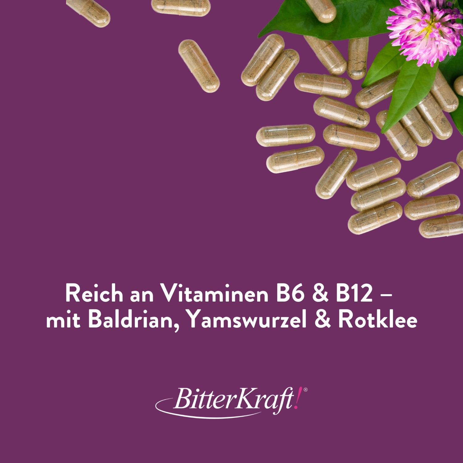 Hildegards Wechsel-Kräuter