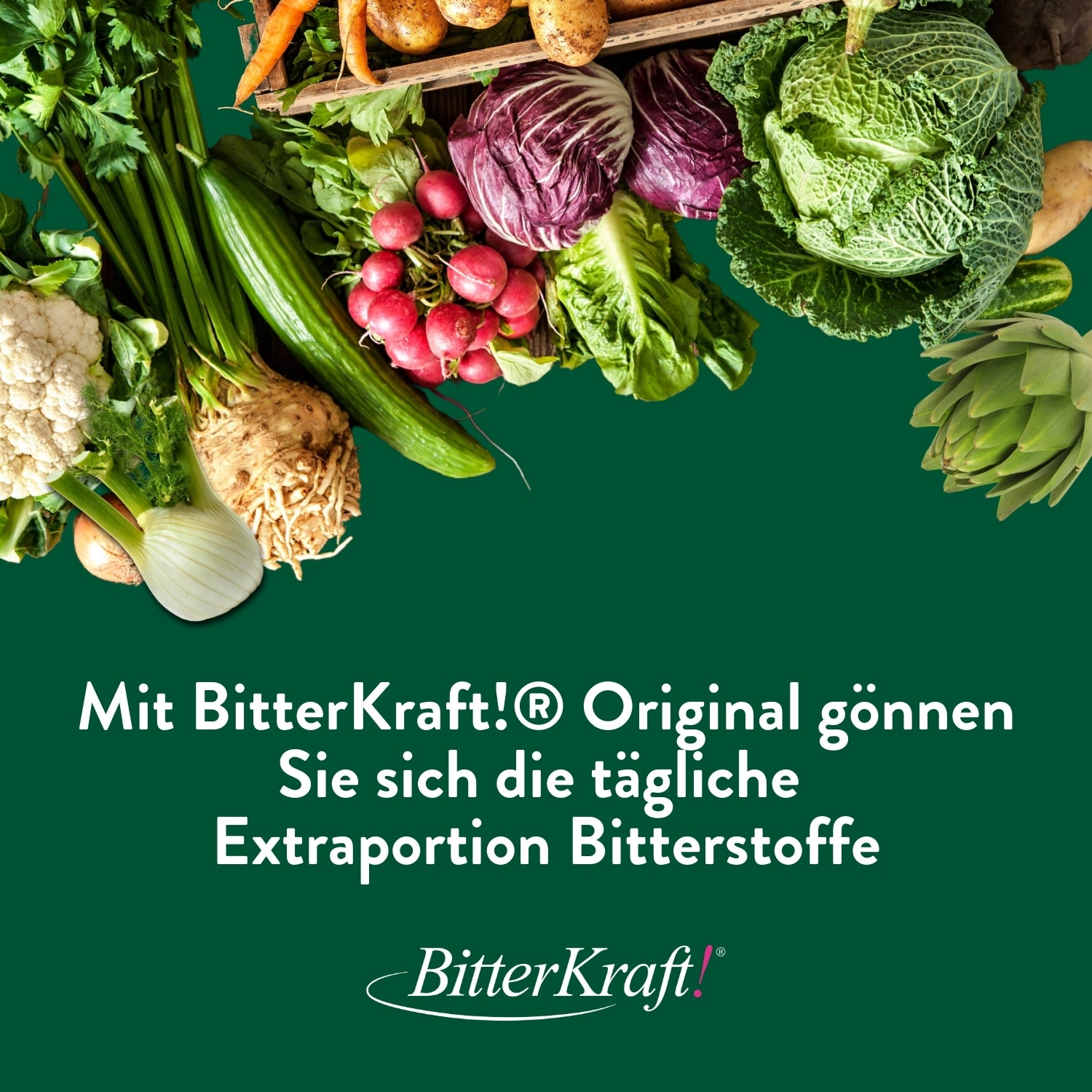 BitterKraft! Original Tropfen (BIO) 50ml mit Pipette