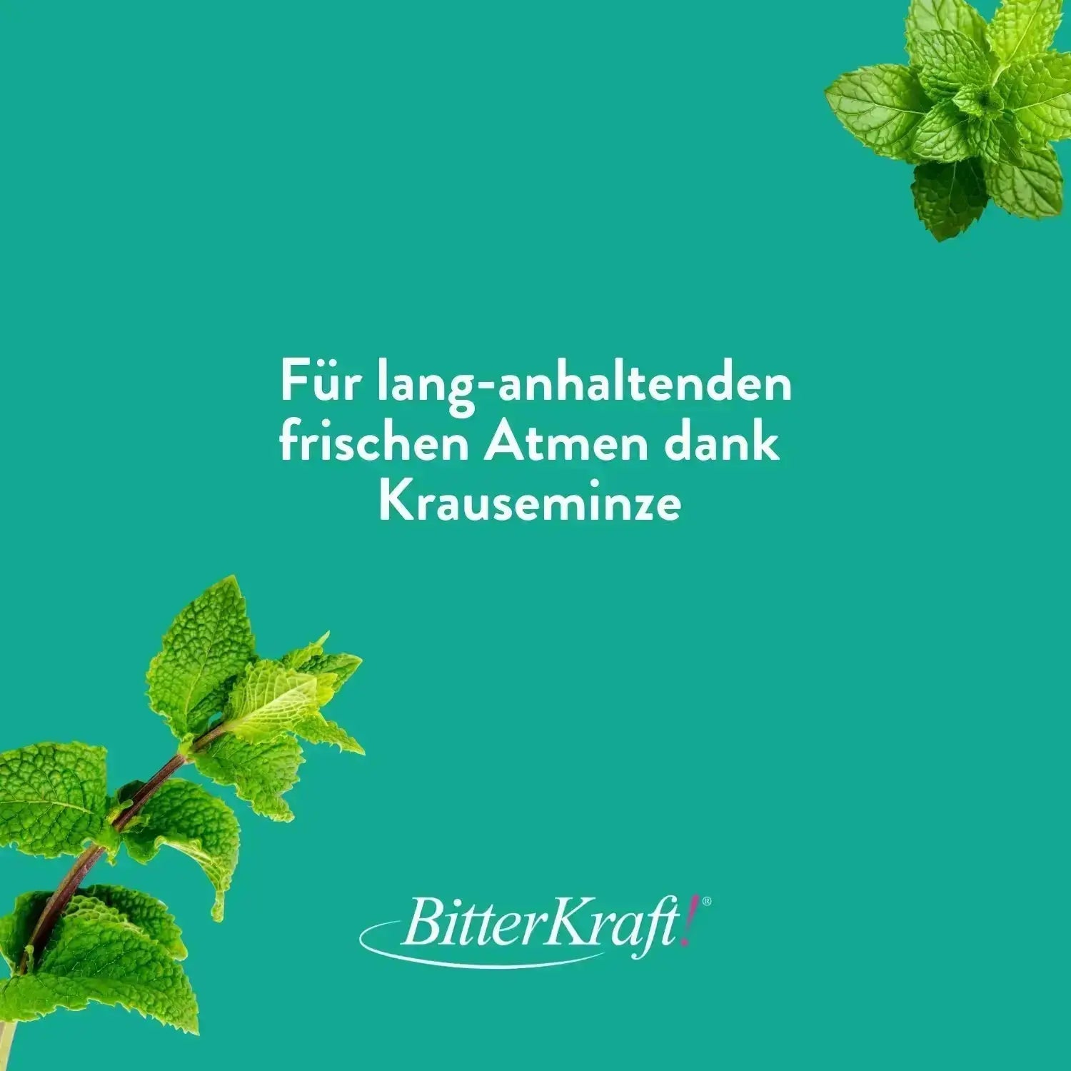 Rebaschen-Zahncreme Bitterkraft GmbH - Bitterkraft