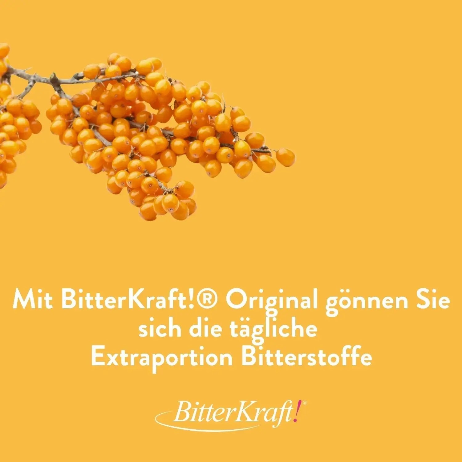 Sanddorn-Saft - 350ml - BitterKraft! Saft gelb (BIO) (alte Version) Bitterkraft GmbH - Bitterkraft