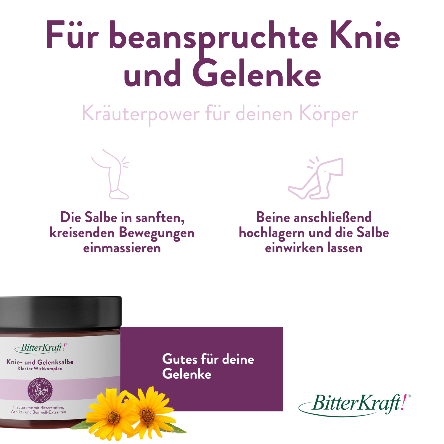 Knie- und Gelenksalbe Hildegard von Bingen