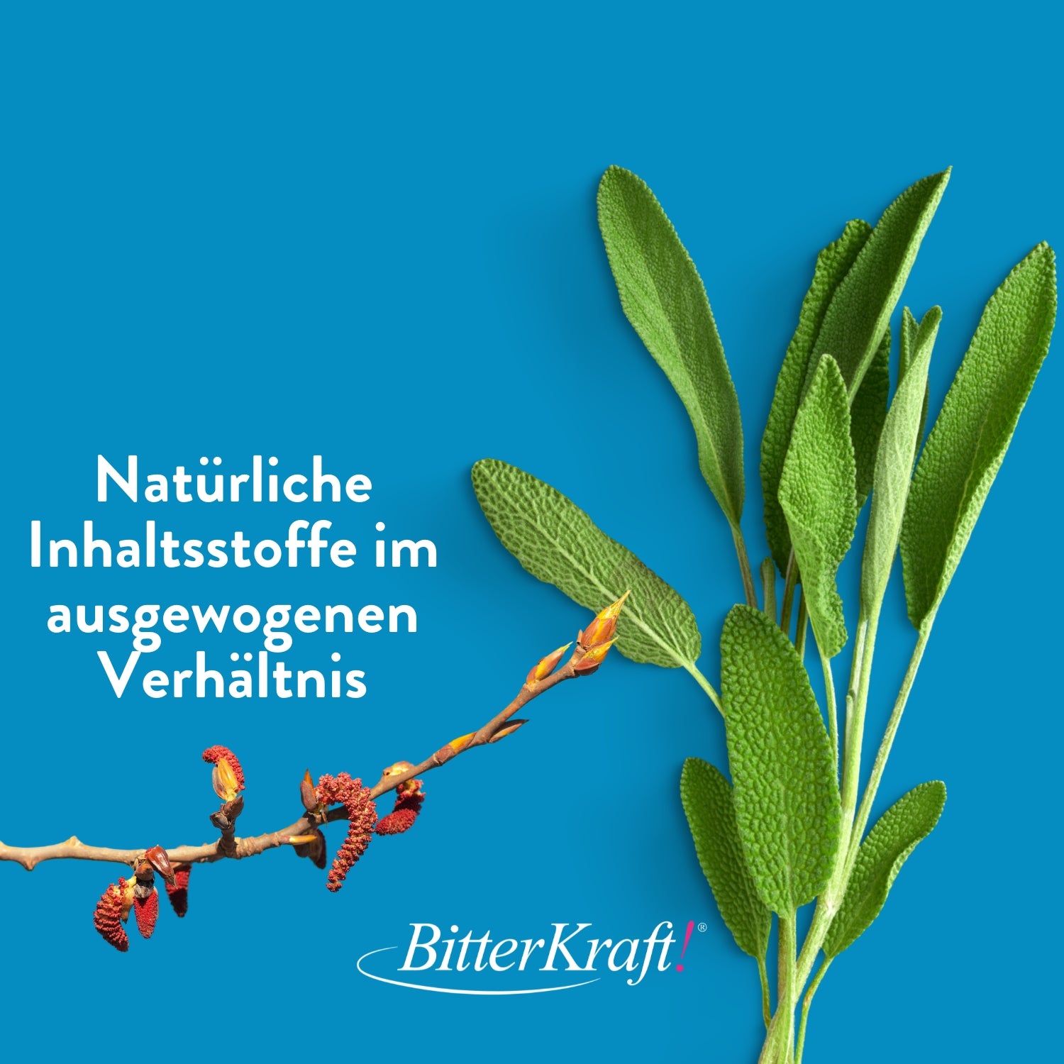 Dignatio! Blasenkraft 100ml