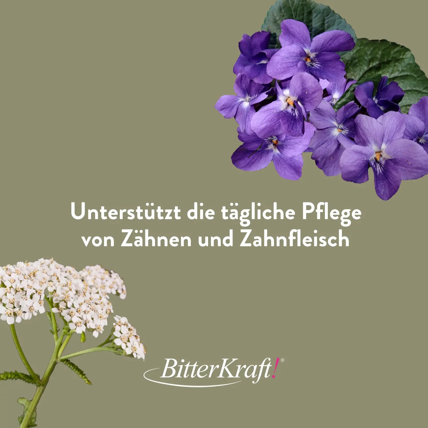 Mundziehöl Kloster-Kräuter 200ml Bitterkraft GmbH - Bitterkraft