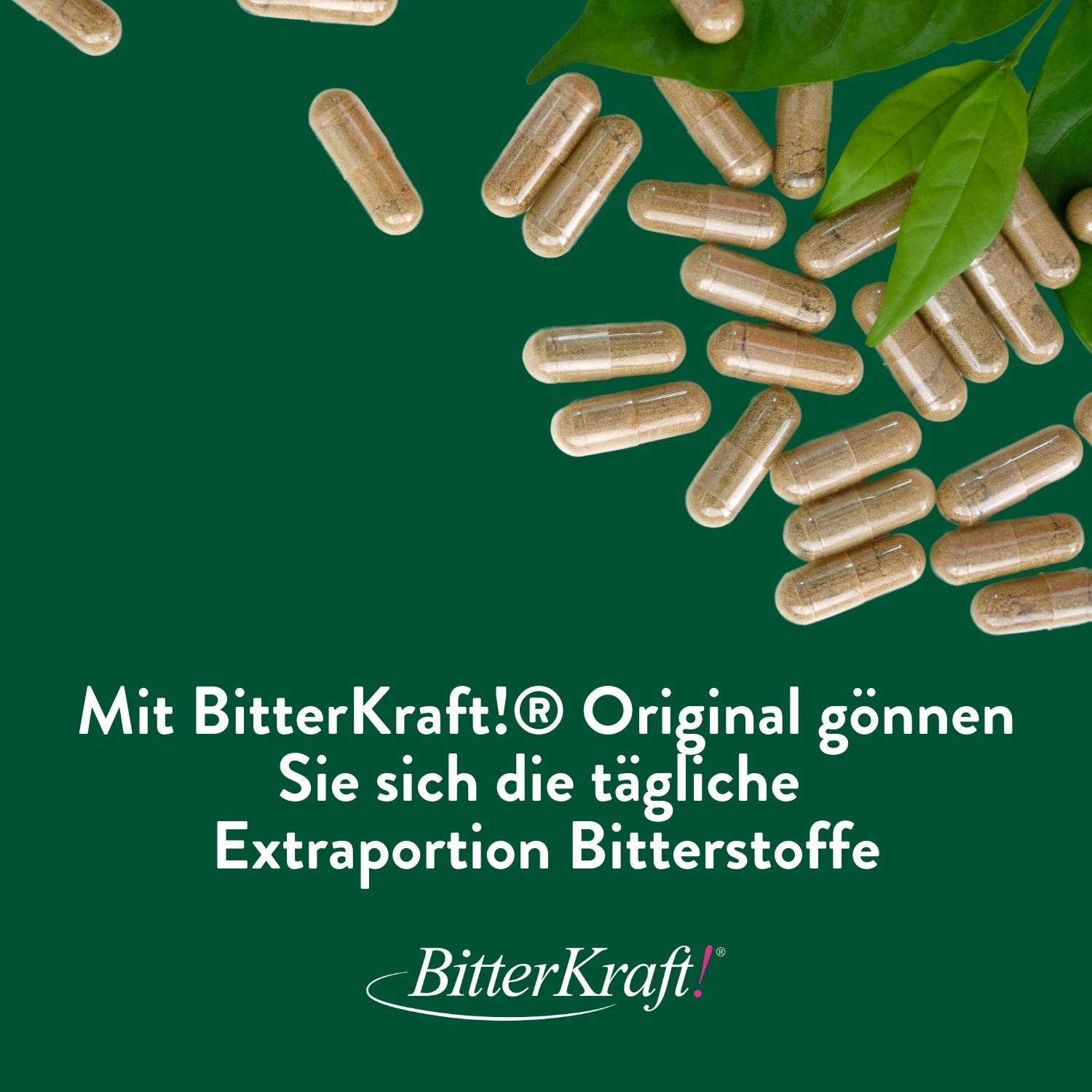 BitterKraft! Bitterstoffe Kapseln