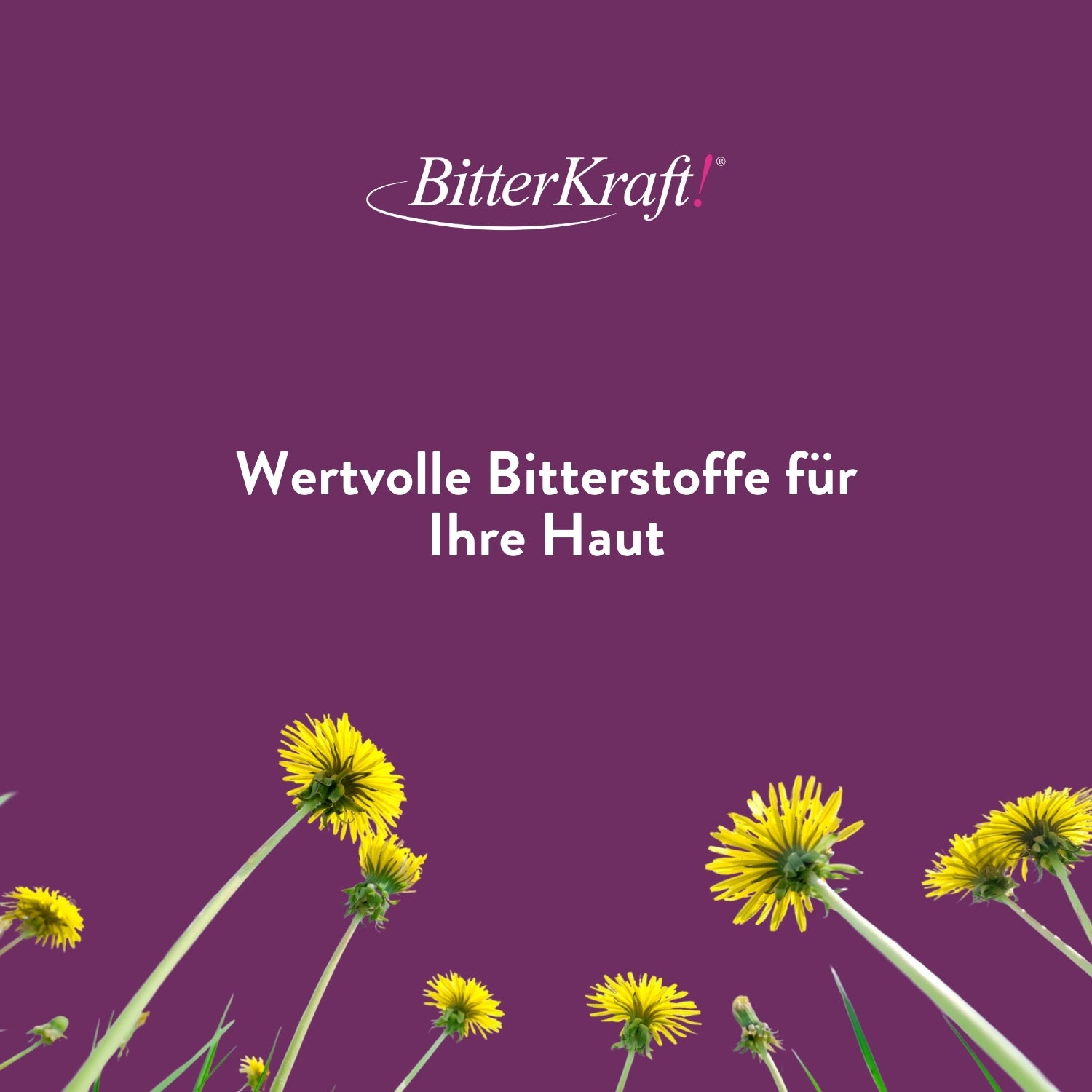 Daily Sensitive Creme