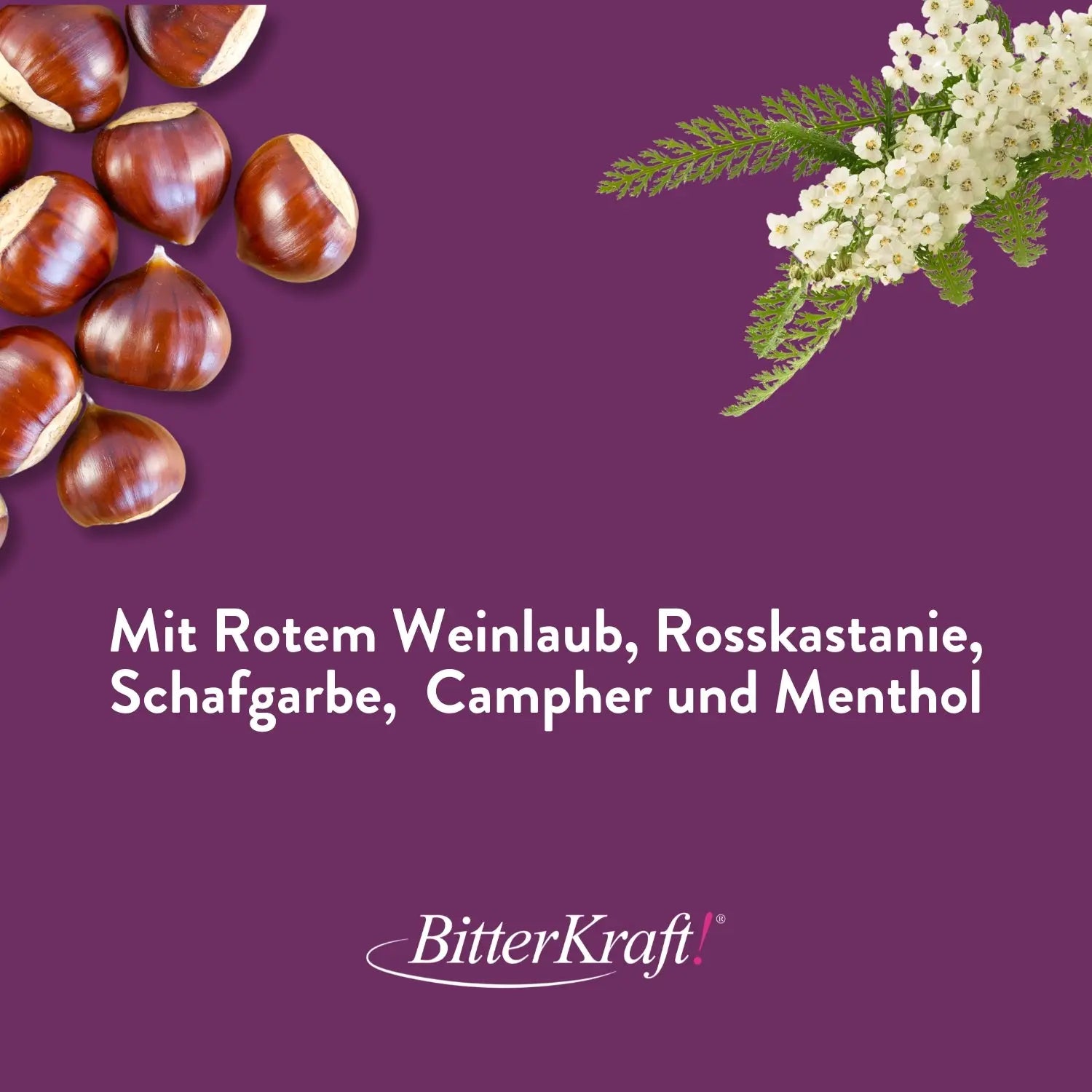 Bein- und Venenbalsam Hildegard von Bingen