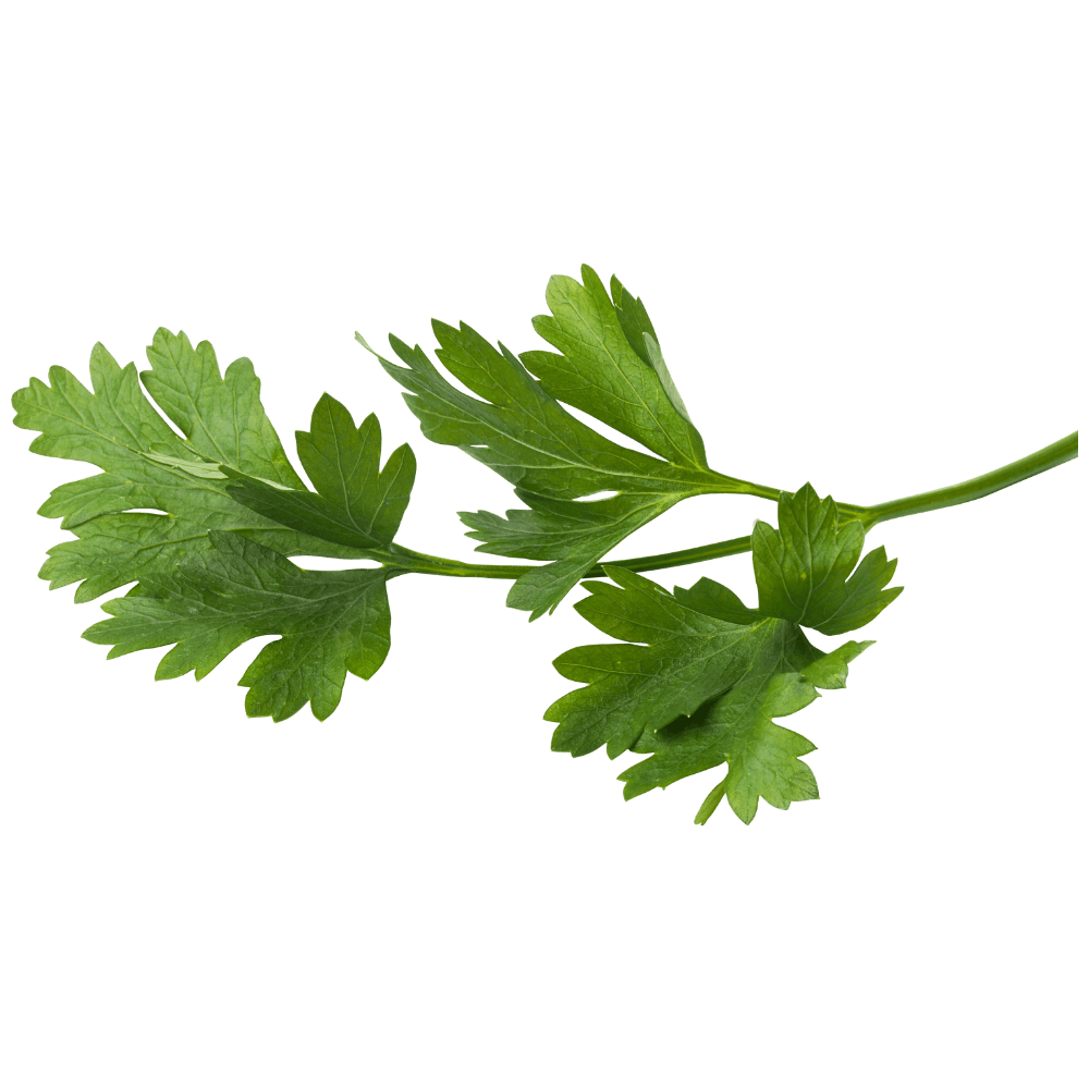Alt Image