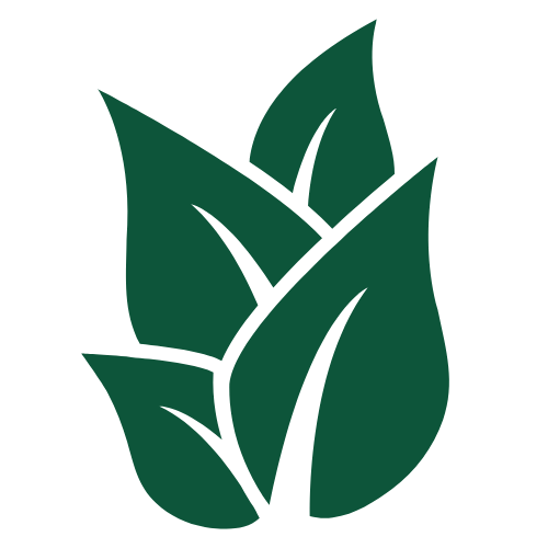 Alt Image