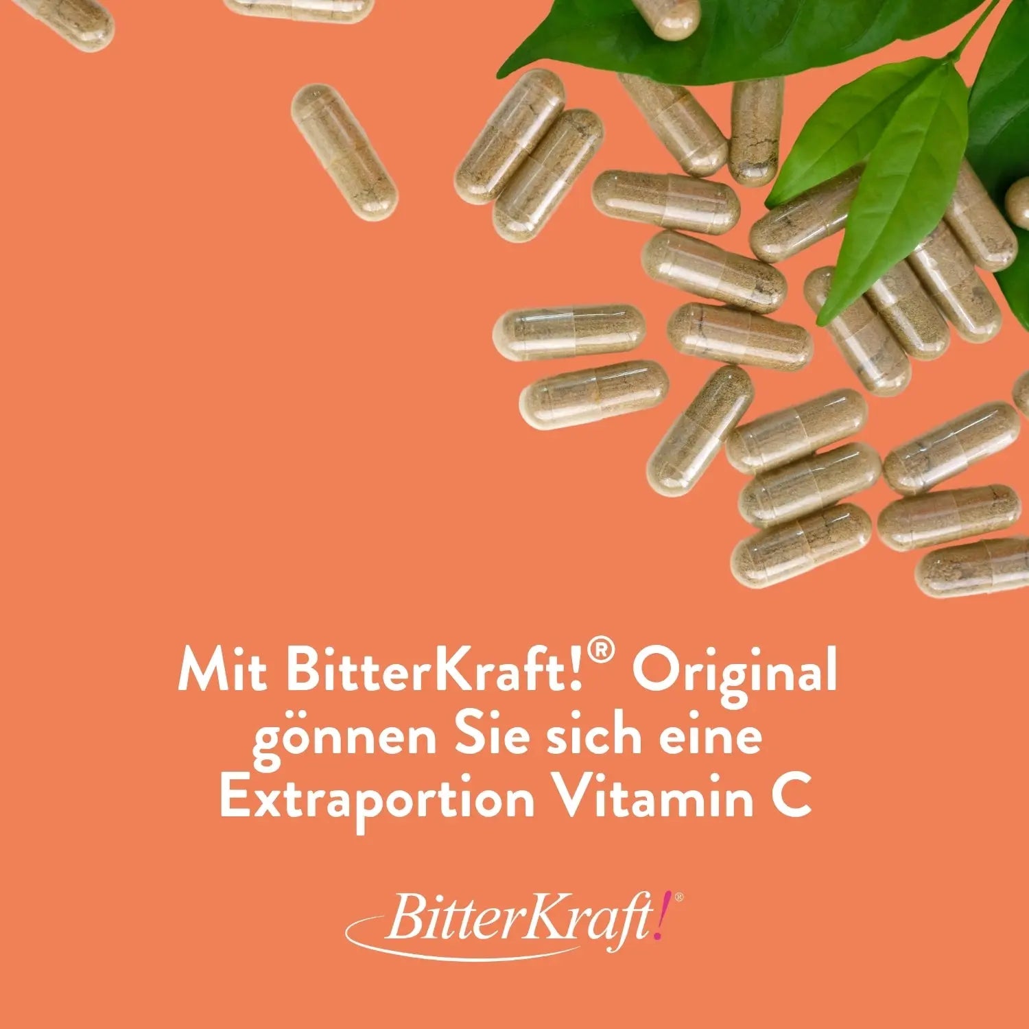 Bitterkraft! Vitamin C mit Hagebutten-Extrakt