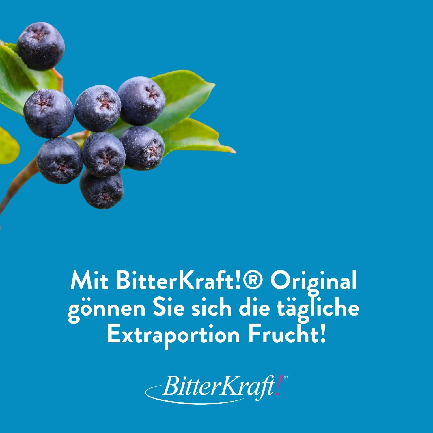 Aronia Vitamin Komplex Saft (BIO) 350ml