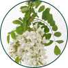 Akazienfaser
