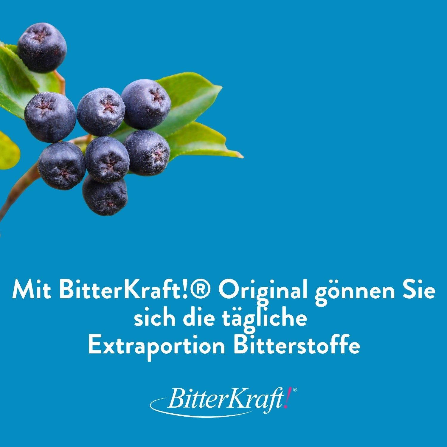 BitterKraft! Original Vitaminkomplex Saft (BIO) 350 ml