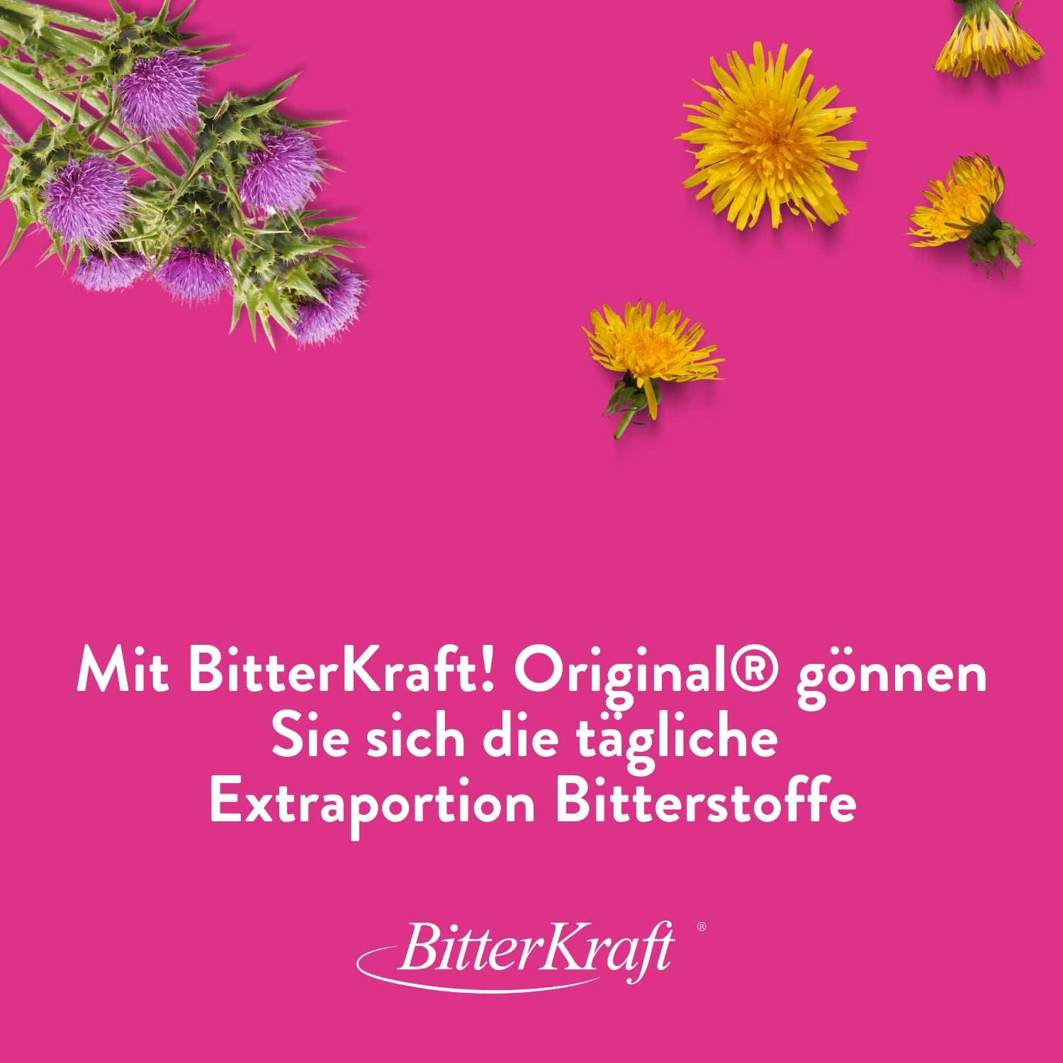 BitterKraft! Original Alkoholfrei 100ml (BIO)