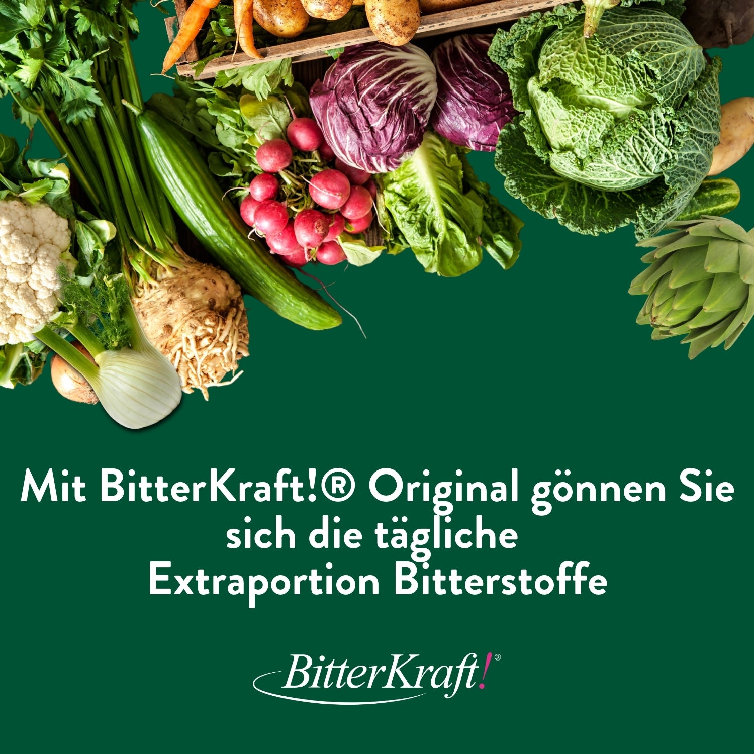 BitterKraft! Bitterstoffe Pulver 100g