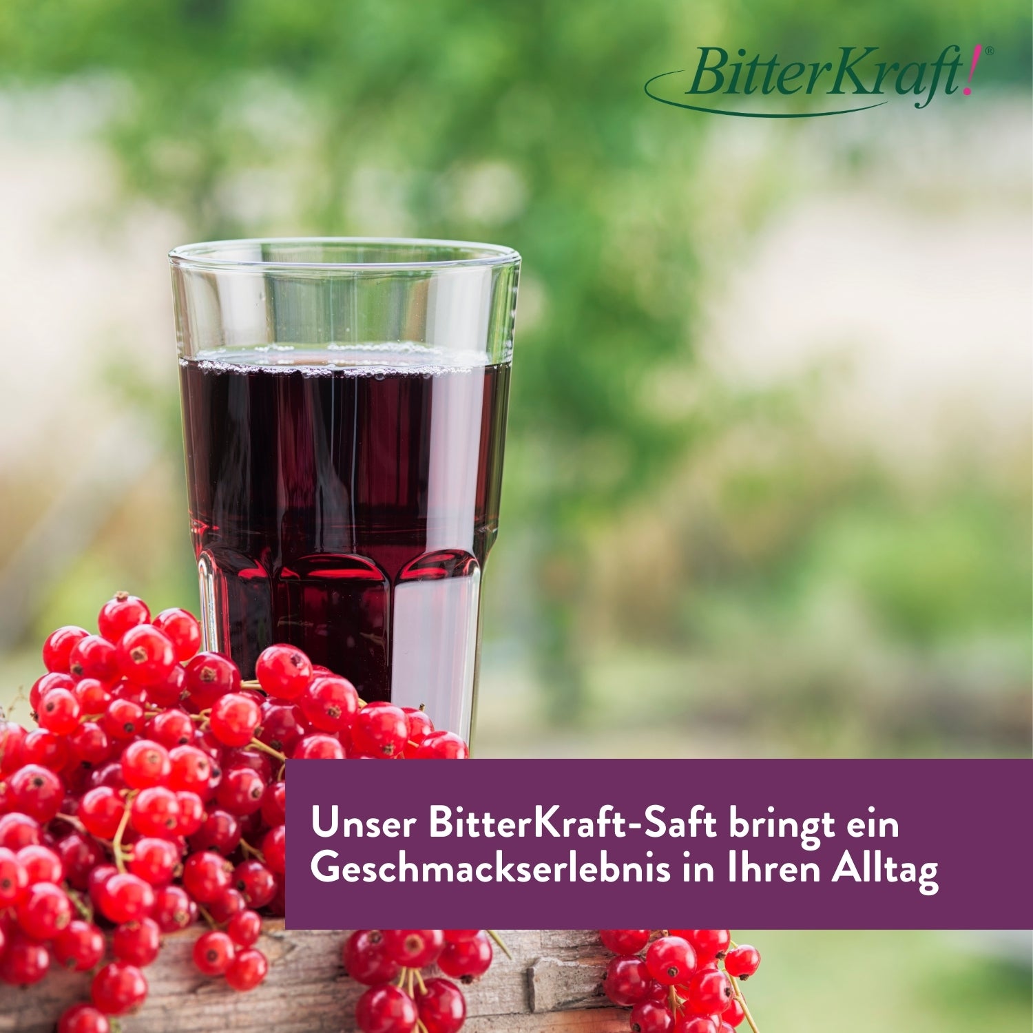 Aronia-Schwungvoller-Tag-Saft  350ml - BitterKraft! Saft rot (BIO)