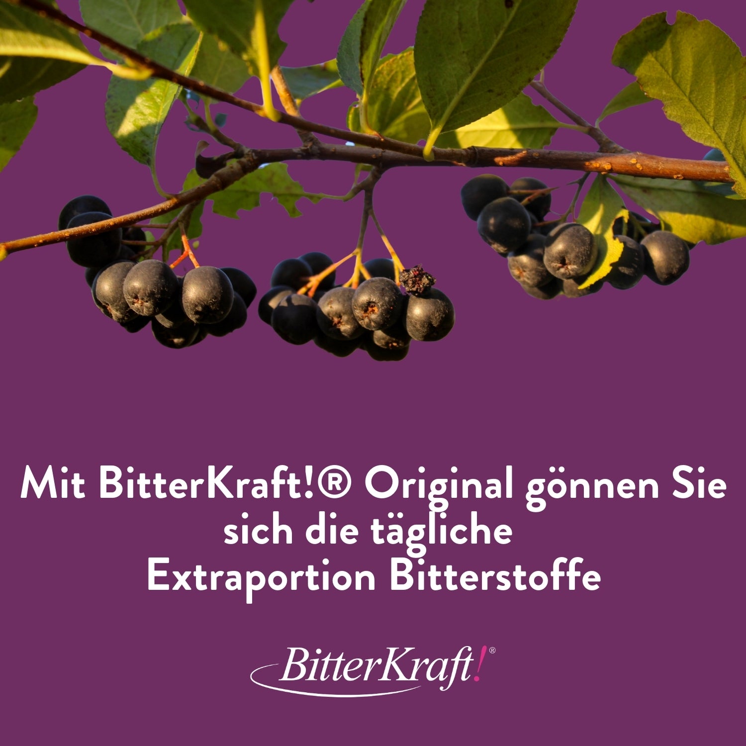 Aronia-Schwungvoller-Tag-Saft  350ml - BitterKraft! Saft rot (BIO)