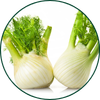 Fenchel