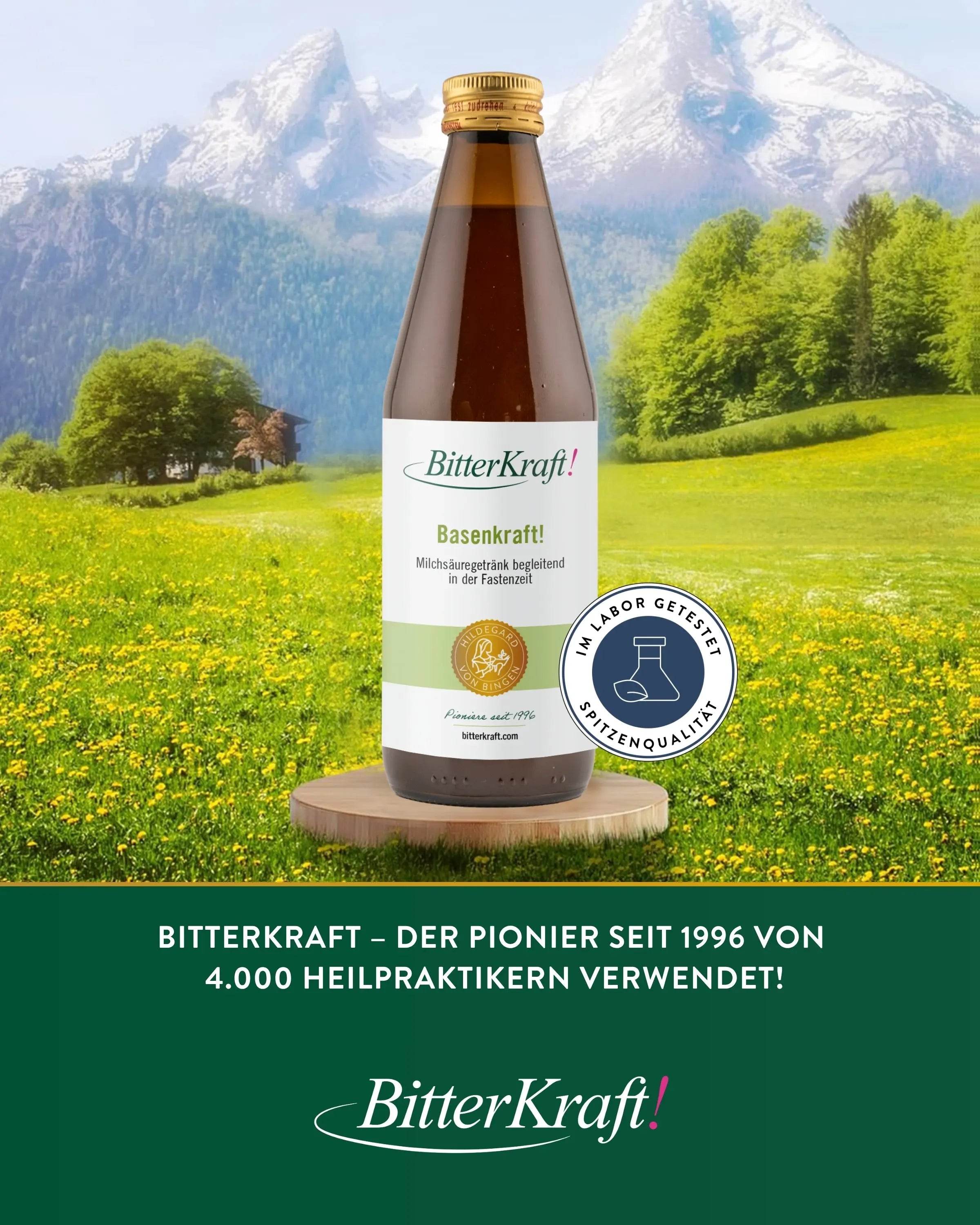 Basenkraft! Original (BIO)