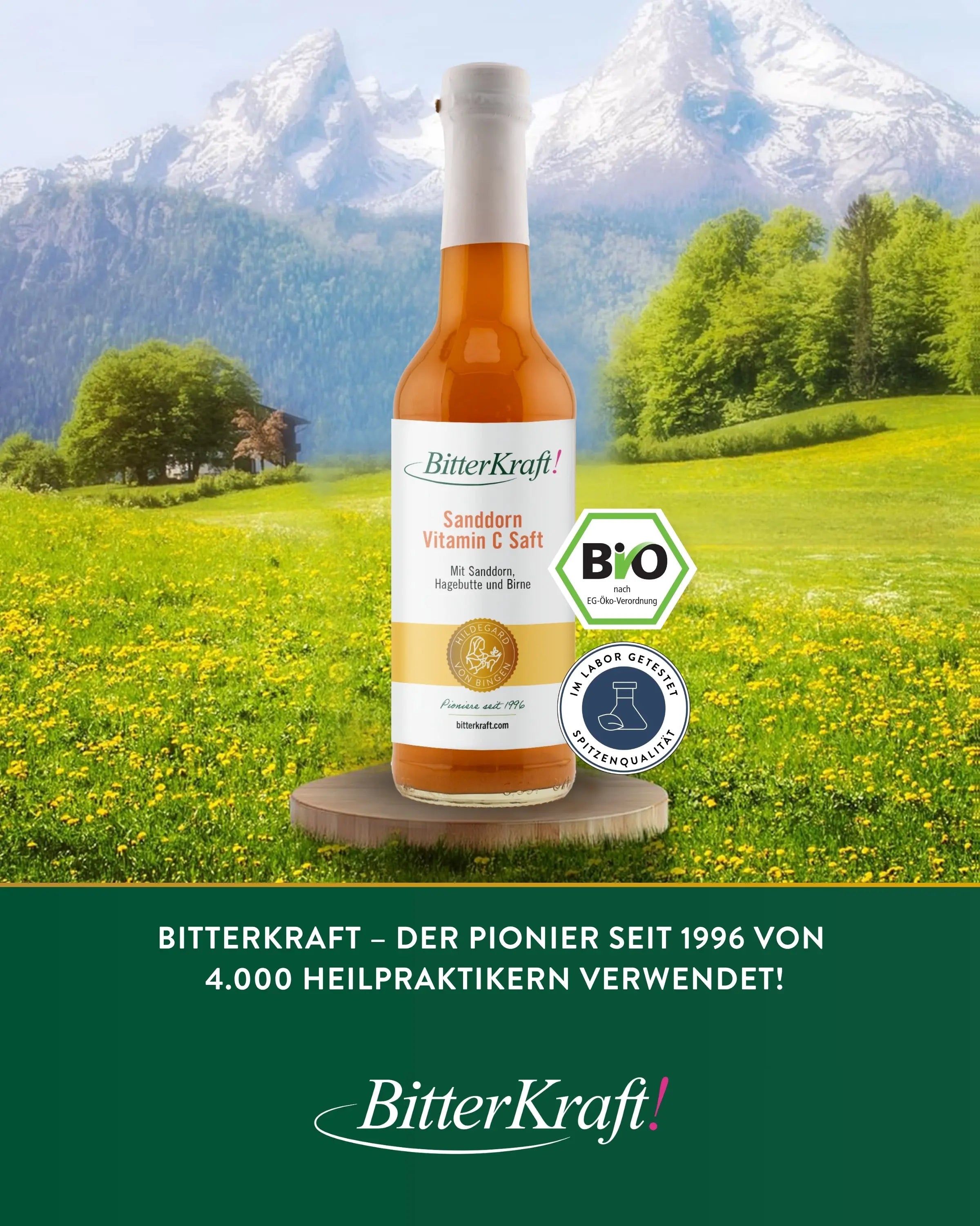 Sanddorn-Saft (BIO) 350ml