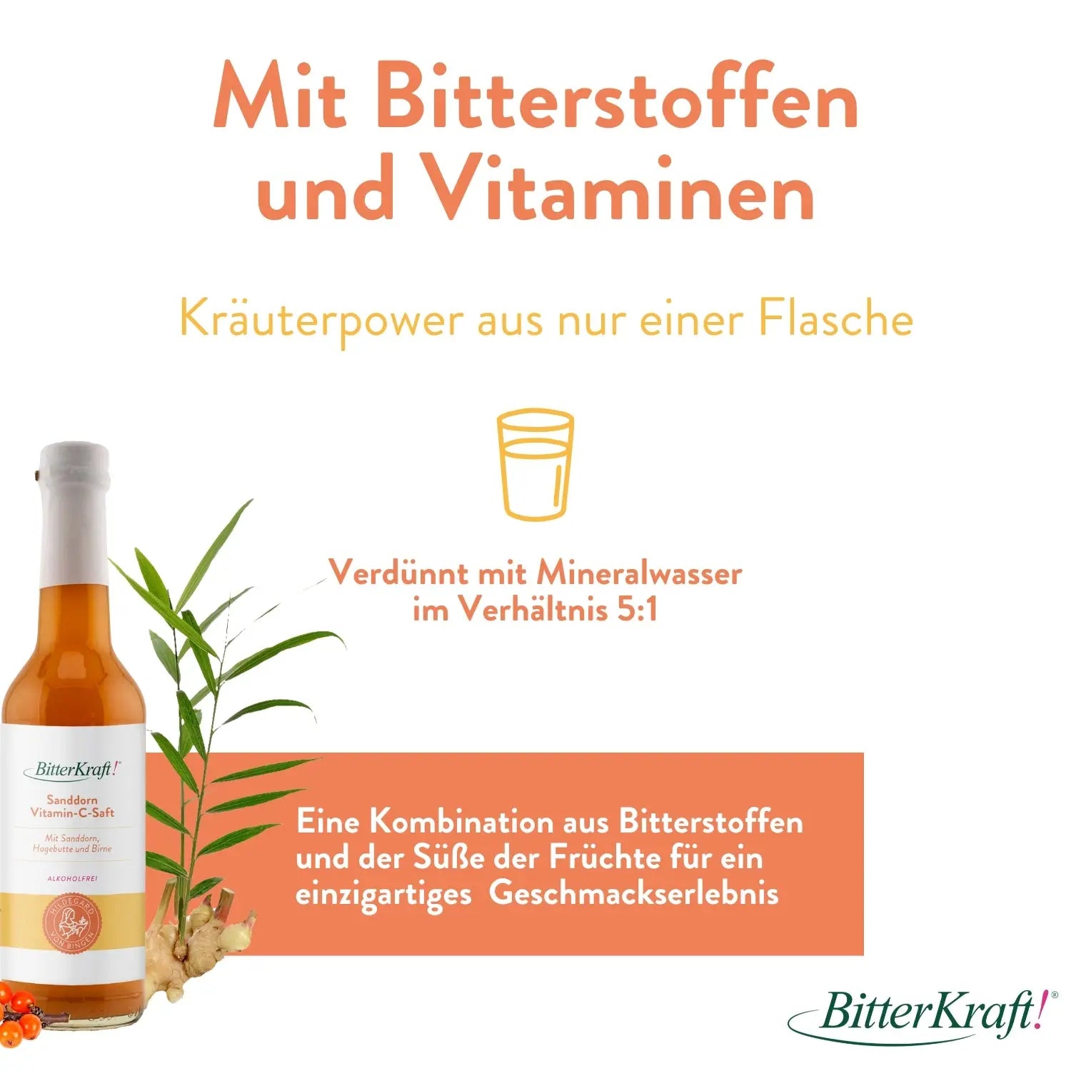 Säfte Bundle Aronia Sanddorn